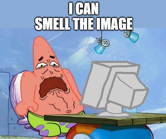 Patrick Star Internet Disgust | I CAN SMELL THE IMAGE | image tagged in patrick star internet disgust | made w/ Imgflip meme maker