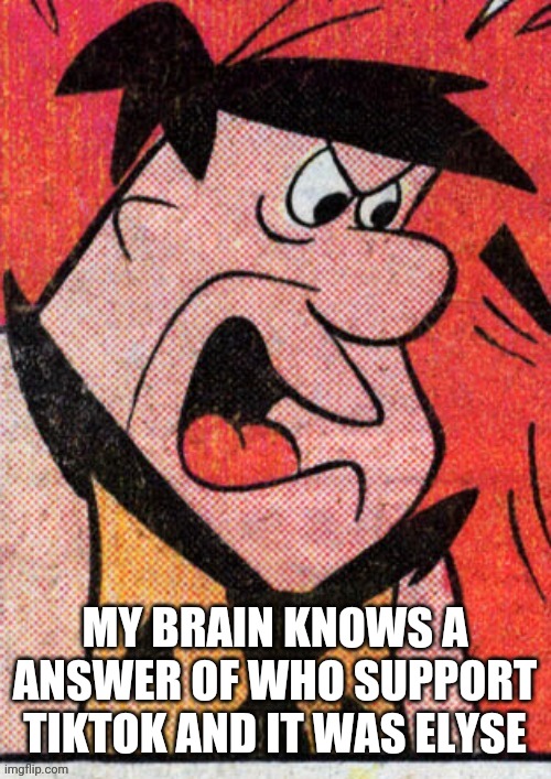 MY BRAIN KNOWS A ANSWER OF WHO SUPPORT TIKTOK AND IT WAS ELYSE | made w/ Imgflip meme maker