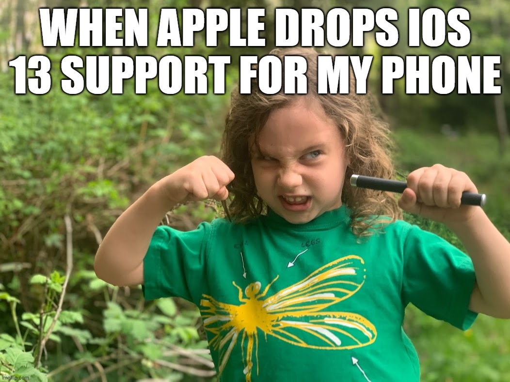 When Apple Drops Support for my iPhone | WHEN APPLE DROPS IOS 13 SUPPORT FOR MY PHONE | image tagged in apple,iphone,ios,ios 12,iphone 5s | made w/ Imgflip meme maker