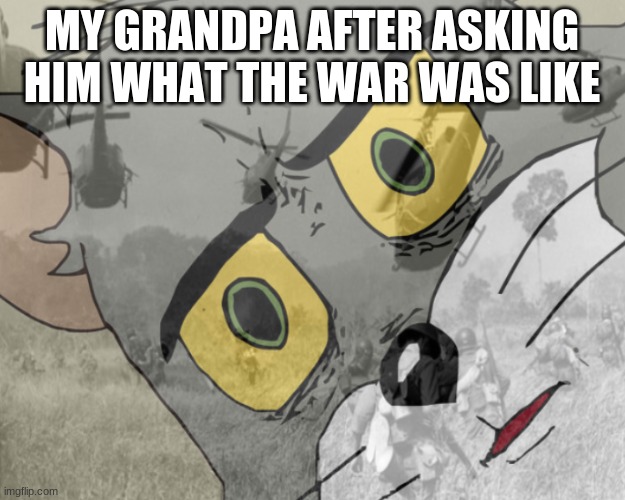 Unsettled tom vietnam |  MY GRANDPA AFTER ASKING HIM WHAT THE WAR WAS LIKE | image tagged in unsettled tom vietnam | made w/ Imgflip meme maker