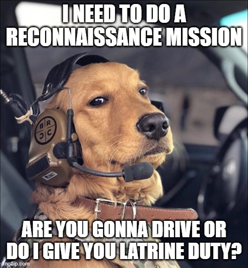do what the eltee says... | I NEED TO DO A RECONNAISSANCE MISSION; ARE YOU GONNA DRIVE OR DO I GIVE YOU LATRINE DUTY? | image tagged in brcc freedom dog,recon,marine,military,cheems | made w/ Imgflip meme maker