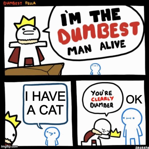 I'm the dumbest man alive | I HAVE A CAT; OK | image tagged in i'm the dumbest man alive | made w/ Imgflip meme maker