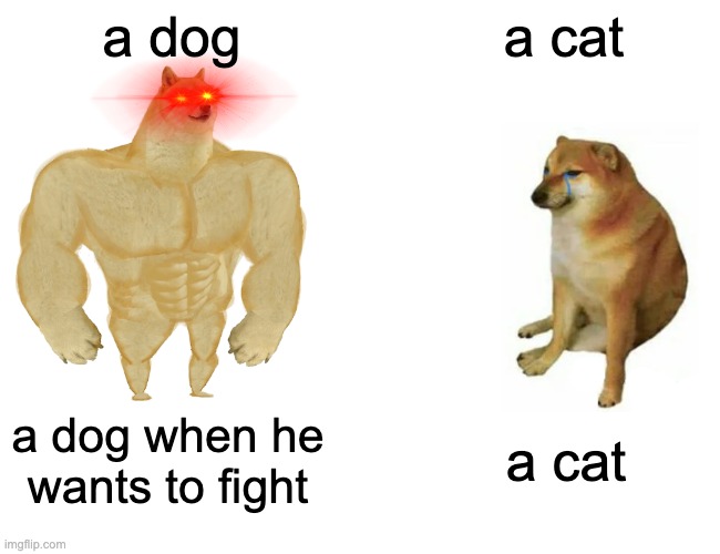 Buff Doge vs. Cheems | a dog; a cat; a dog when he wants to fight; a cat | image tagged in memes,buff doge vs cheems | made w/ Imgflip meme maker