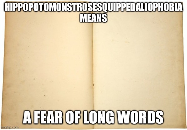 This is so ironic | HIPPOPOTOMONSTROSESQUIPPEDALIOPHOBIA MEANS; A FEAR OF LONG WORDS | image tagged in dictionary meme,words,phobia,ironic | made w/ Imgflip meme maker