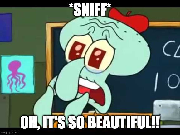 It's Beautiful | *SNIFF* OH, IT'S SO BEAUTIFUL!! | image tagged in it's beautiful | made w/ Imgflip meme maker