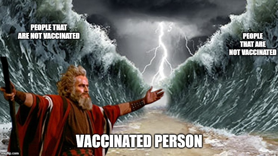Red Sea | PEOPLE THAT ARE NOT VACCINATED; PEOPLE THAT ARE NOT VACCINATED; VACCINATED PERSON | image tagged in red sea | made w/ Imgflip meme maker