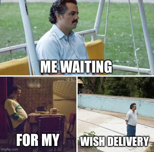 It’s never comin | ME WAITING; FOR MY; WISH DELIVERY | image tagged in memes,sad pablo escobar,short | made w/ Imgflip meme maker