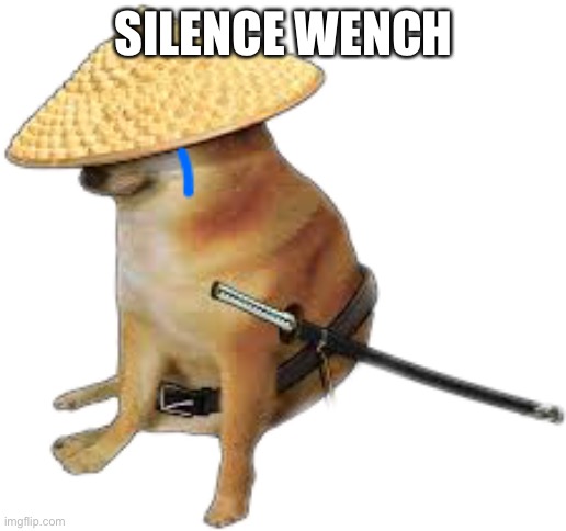 Silence wench | SILENCE WENCH | image tagged in silence wench | made w/ Imgflip meme maker