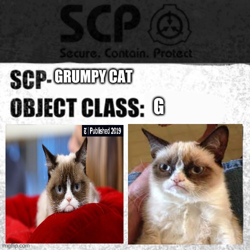 grumpy cat | GRUMPY CAT; G | image tagged in scp,grumpy cat | made w/ Imgflip meme maker