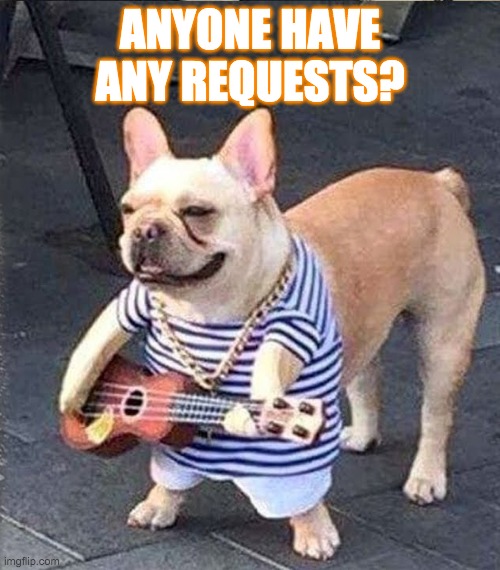 13/10 doggo | ANYONE HAVE ANY REQUESTS? | made w/ Imgflip meme maker