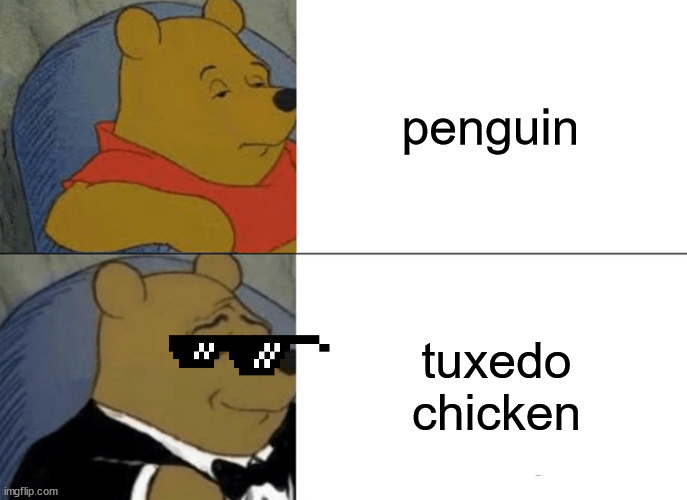 clearly superior | penguin; tuxedo chicken | image tagged in tuxedo winnie the pooh | made w/ Imgflip meme maker