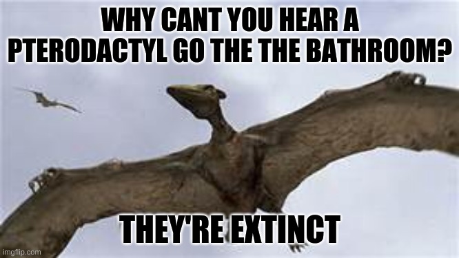the true version | WHY CANT YOU HEAR A PTERODACTYL GO THE THE BATHROOM? THEY'RE EXTINCT | image tagged in pterodactyls,memes,gifs | made w/ Imgflip meme maker