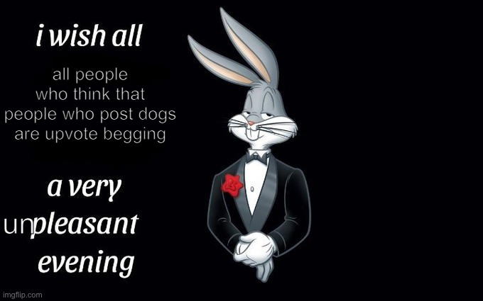 hey its just my opinion | all people who think that people who post dogs are upvote begging; un | image tagged in i wish all the x a very pleasant evening | made w/ Imgflip meme maker