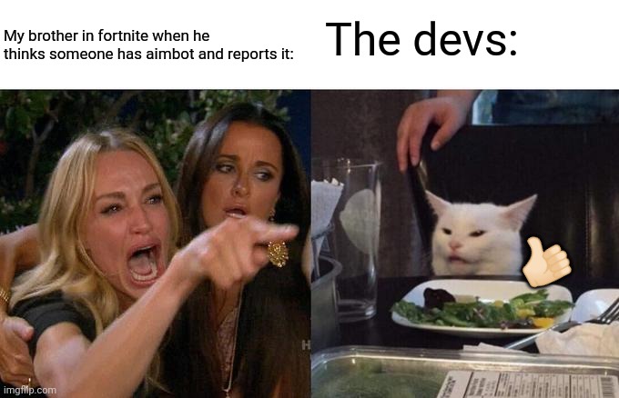Woman Yelling At Cat Meme | The devs:; My brother in fortnite when he thinks someone has aimbot and reports it:; 👍🏻 | image tagged in memes,woman yelling at cat | made w/ Imgflip meme maker