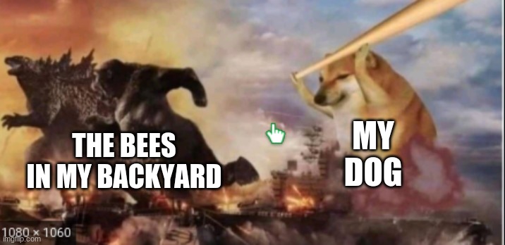 Lol | MY DOG; THE BEES IN MY BACKYARD | image tagged in godzilla | made w/ Imgflip meme maker