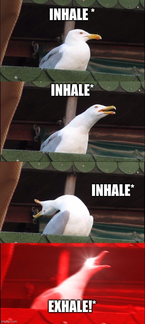 Inhaling Seagull Meme | INHALE *; INHALE*; INHALE*; EXHALE!* | image tagged in memes,inhaling seagull | made w/ Imgflip meme maker
