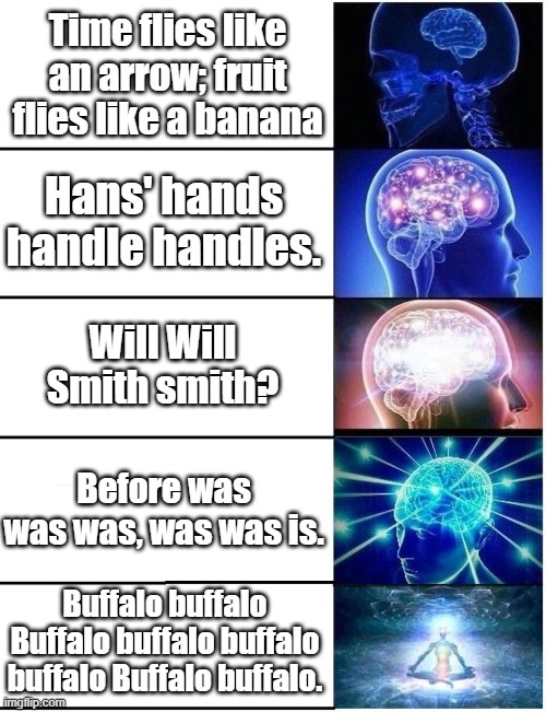 Lexical Ambiguity | Time flies like an arrow; fruit flies like a banana; Hans' hands handle handles. Will Will Smith smith? Before was was was, was was is. Buffalo buffalo Buffalo buffalo buffalo buffalo Buffalo buffalo. | image tagged in expanding brain 5 panel | made w/ Imgflip meme maker