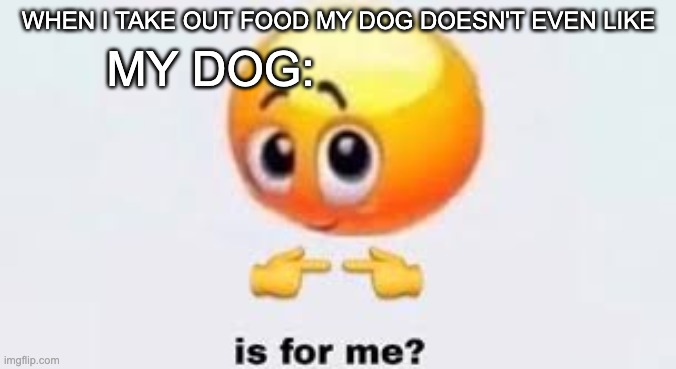 Is for me | MY DOG:; WHEN I TAKE OUT FOOD MY DOG DOESN'T EVEN LIKE | image tagged in is for me | made w/ Imgflip meme maker