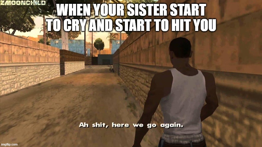 Here we go again | WHEN YOUR SISTER START TO CRY AND START TO HIT YOU | image tagged in here we go again | made w/ Imgflip meme maker
