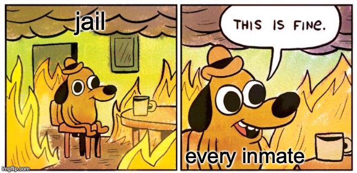 This Is Fine Meme | jail; every inmate | image tagged in memes,this is fine | made w/ Imgflip meme maker