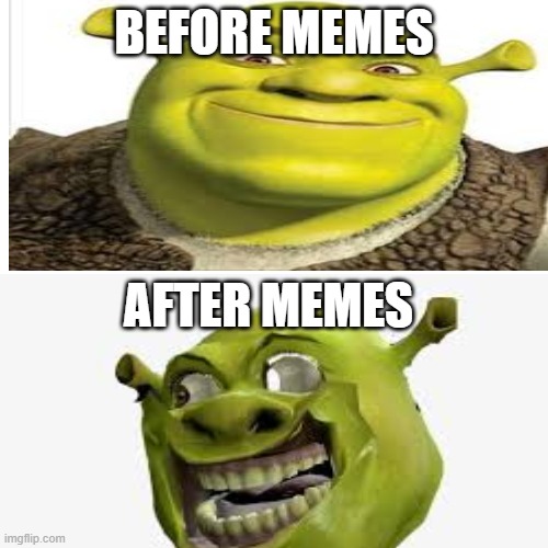 RIP SHERK | BEFORE MEMES; AFTER MEMES | image tagged in memes | made w/ Imgflip meme maker