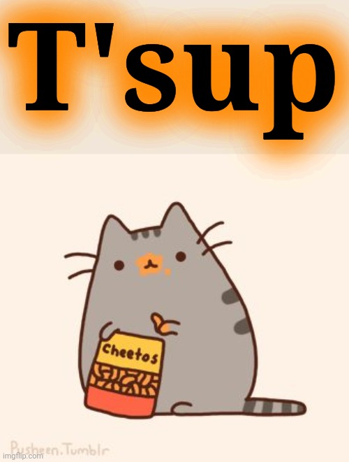 pusheen stole the cheetos | T'sup | image tagged in pusheen stole the cheetos | made w/ Imgflip meme maker