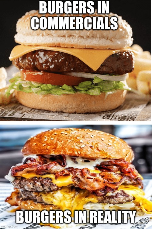 commercial. reality. | BURGERS IN COMMERCIALS; BURGERS IN REALITY | image tagged in blank white template | made w/ Imgflip meme maker