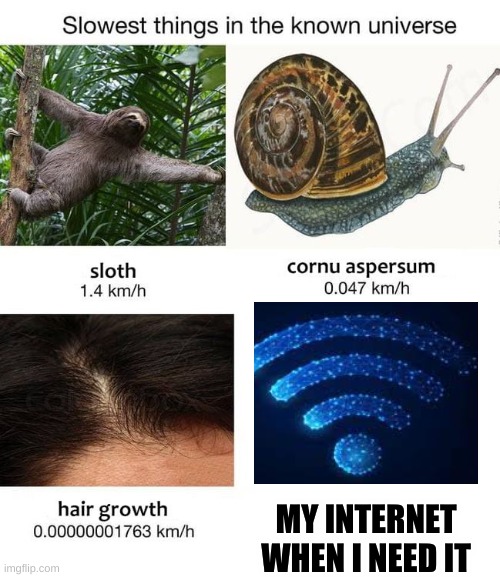 Internet | MY INTERNET WHEN I NEED IT | image tagged in slowest things | made w/ Imgflip meme maker