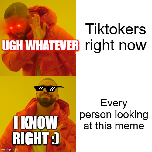 Tiktokers right now Every person looking at this meme UGH WHATEVER I KNOW RIGHT :) | image tagged in memes,drake hotline bling | made w/ Imgflip meme maker
