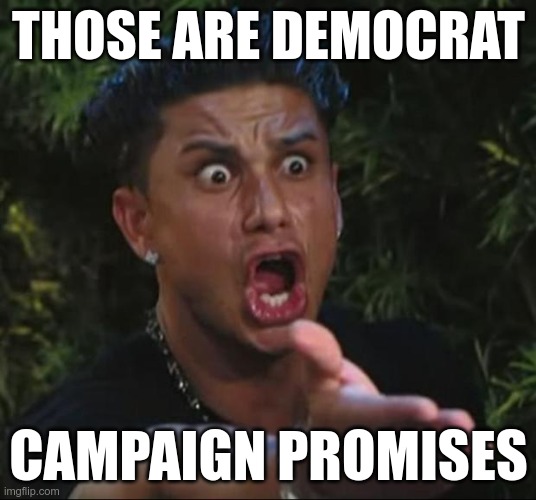 DJ Pauly D Meme | THOSE ARE DEMOCRAT CAMPAIGN PROMISES | image tagged in memes,dj pauly d | made w/ Imgflip meme maker
