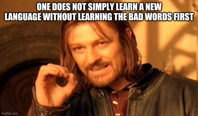 One Simply Doesn't | ONE DOES NOT SIMPLY LEARN A NEW LANGUAGE WITHOUT LEARNING THE BAD WORDS FIRST | image tagged in memes,one does not simply,too funny,lol,funny memes,funny meme | made w/ Imgflip meme maker