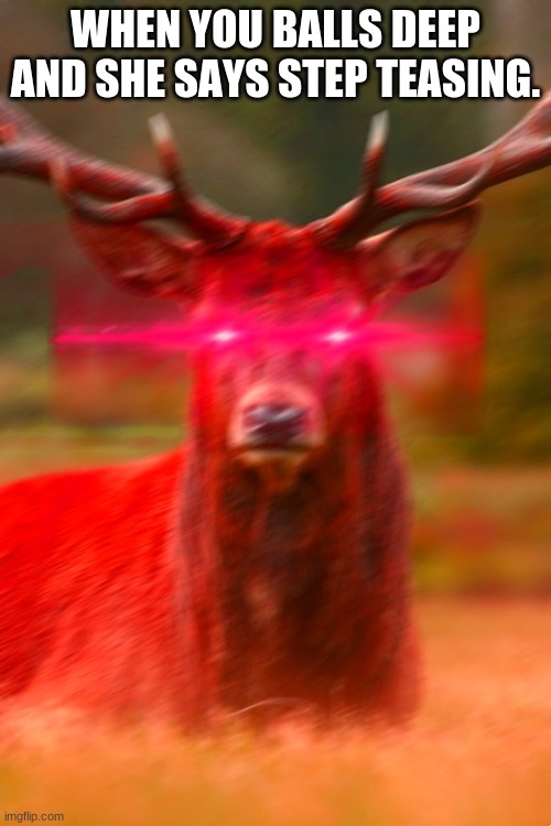 O-O | WHEN YOU BALLS DEEP AND SHE SAYS STEP TEASING. | image tagged in deer begone thot | made w/ Imgflip meme maker