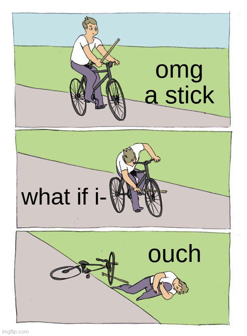 the curiosity | omg a stick; what if i-; ouch | image tagged in memes,bike fall | made w/ Imgflip meme maker