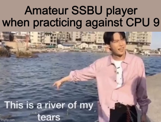 The struggle is real | Amateur SSBU player when practicing against CPU 9 | image tagged in this is a river of my tears,super smash bros,relatable | made w/ Imgflip meme maker