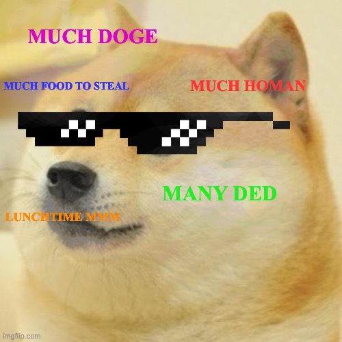 Carona doge | MUCH DOGE; MUCH HOMAN; MUCH FOOD TO STEAL; MANY DED; LUNCHTIME MMM | image tagged in memes,doge | made w/ Imgflip meme maker