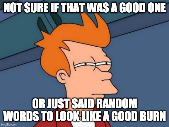 Lousy Roast | NOT SURE IF THAT WAS A GOOD ONE; OR JUST SAID RANDOM WORDS TO LOOK LIKE A GOOD BURN | image tagged in memes,futurama fry | made w/ Imgflip meme maker