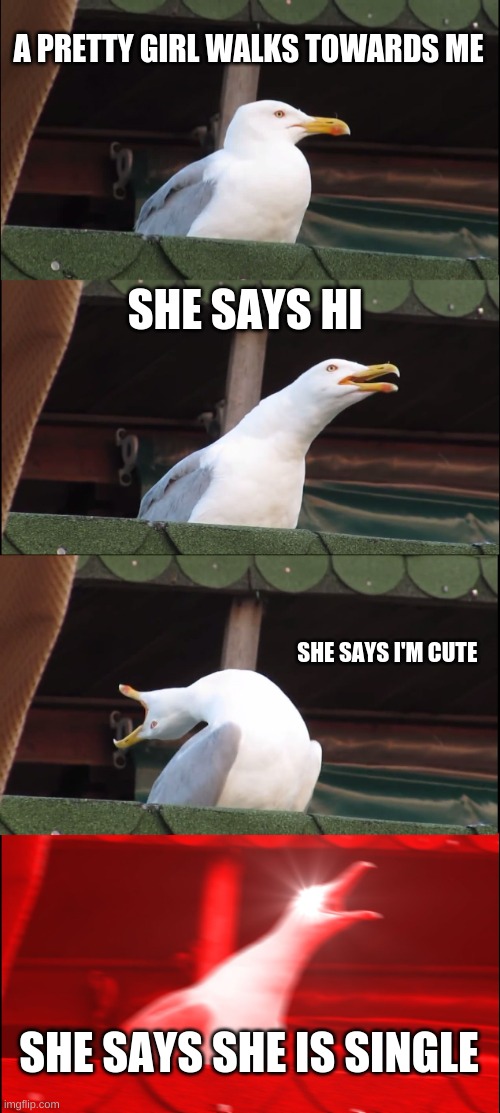 Cute girl | A PRETTY GIRL WALKS TOWARDS ME; SHE SAYS HI; SHE SAYS I'M CUTE; SHE SAYS SHE IS SINGLE | image tagged in memes,inhaling seagull | made w/ Imgflip meme maker