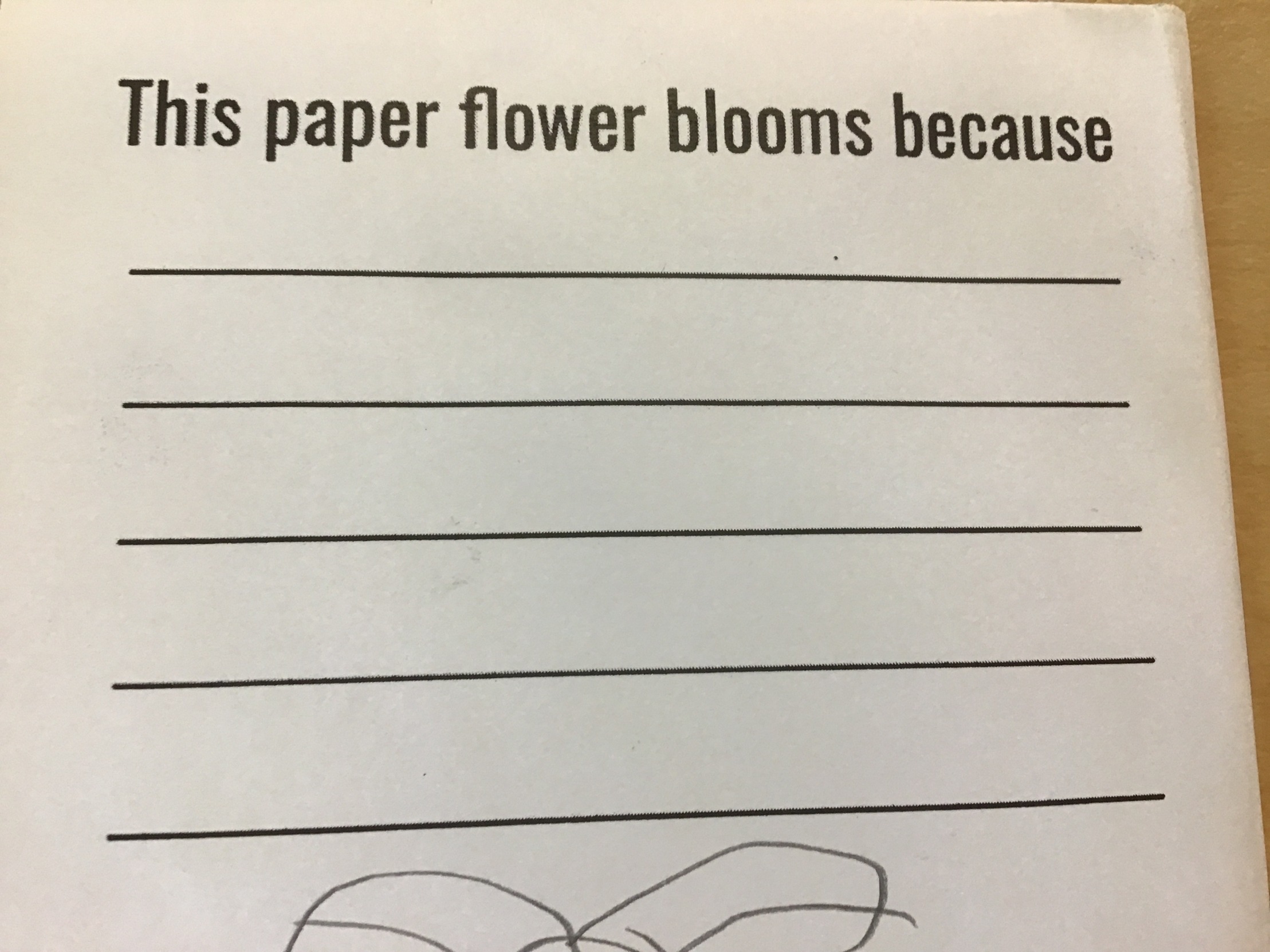 This paper flower blooms because Blank Meme Template