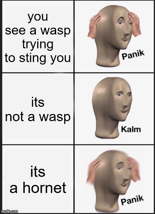 Panik Kalm Panik | you see a wasp trying to sting you; its not a wasp; its a hornet | image tagged in memes,panik kalm panik | made w/ Imgflip meme maker