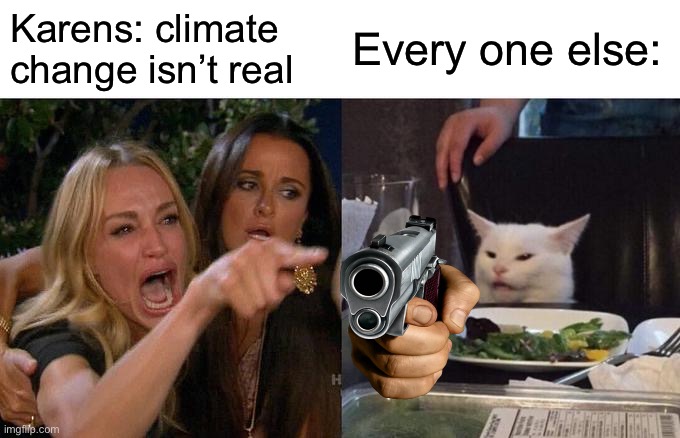 Woman Yelling At Cat Meme | Karens: climate change isn’t real; Every one else: | image tagged in memes,woman yelling at cat | made w/ Imgflip meme maker