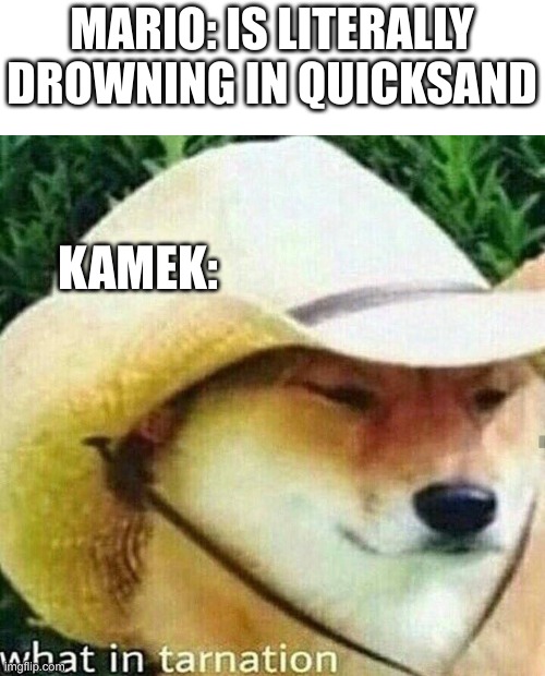 What in tarnation dog | MARIO: IS LITERALLY DROWNING IN QUICKSAND; KAMEK: | image tagged in what in tarnation dog | made w/ Imgflip meme maker