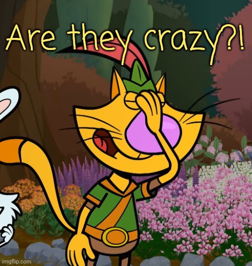 Nature Cat Facepalm | Are they crazy?! | image tagged in nature cat facepalm | made w/ Imgflip meme maker