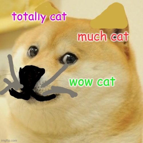 Doge Meme | totally cat; much cat; wow cat | image tagged in memes,doge | made w/ Imgflip meme maker