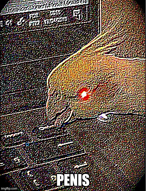 deepfried sp day 1 | made w/ Imgflip meme maker