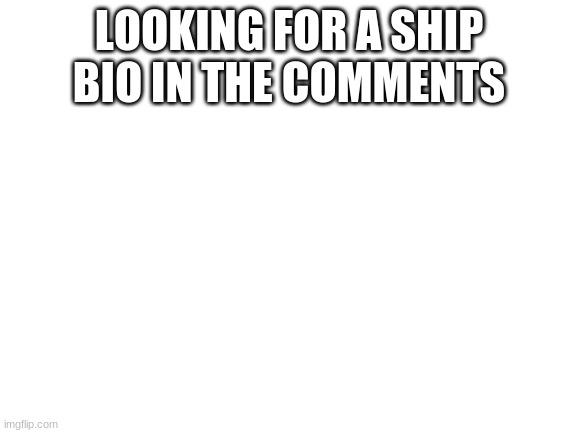 check comments | LOOKING FOR A SHIP
BIO IN THE COMMENTS | image tagged in blank white template | made w/ Imgflip meme maker