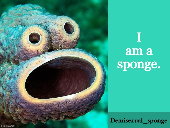 S p o n g e | I am a sponge. | image tagged in demisexual_sponge announcement,demisexual_sponge | made w/ Imgflip meme maker