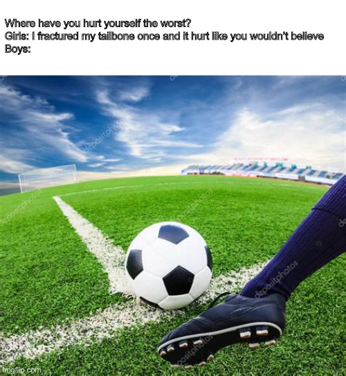 Kick in the ? | Where have you hurt yourself the worst?
Girls: I fractured my tailbone once and it hurt like you wouldn’t believe
Boys: | image tagged in memes,funny | made w/ Imgflip meme maker