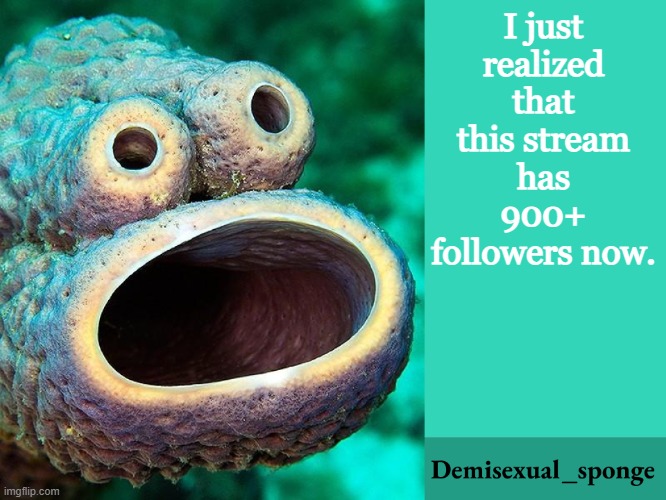 Insert title here | I just realized that this stream has 900+ followers now. | image tagged in demisexual_sponge announcement,demisexual_sponge | made w/ Imgflip meme maker