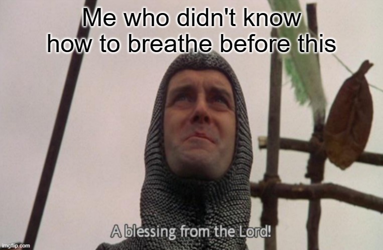 A blessing from the lord | Me who didn't know how to breathe before this | image tagged in a blessing from the lord | made w/ Imgflip meme maker