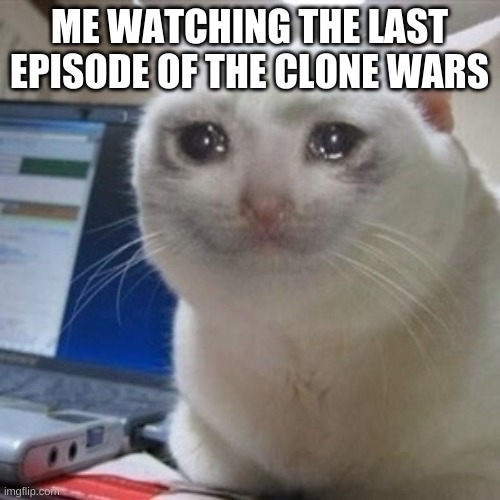 Crying cat | ME WATCHING THE LAST EPISODE OF THE CLONE WARS | image tagged in crying cat | made w/ Imgflip meme maker